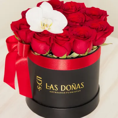 images/LISTAS/AMOR/LD102C-1.webp