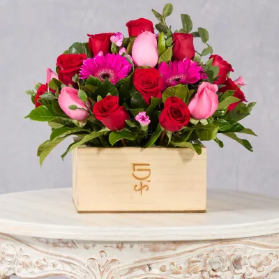 images/LISTAS/AMOR/LD113C-1.webp