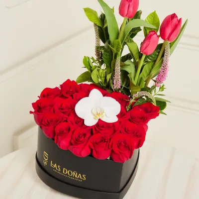 images/LISTAS/AMOR/LD121C-1.webp
