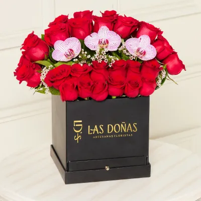 images/LISTAS/AMOR/LD124-1.webp