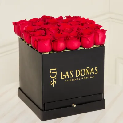 images/LISTAS/AMOR/LD125-1.webp