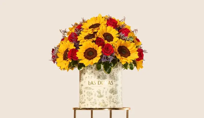 Girasoles