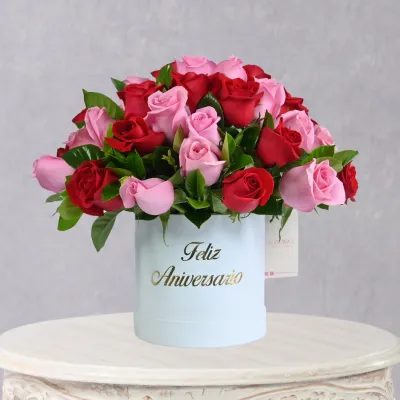 storage/images/productos/I9c6Q6BAKi_100_10_11zon.webp