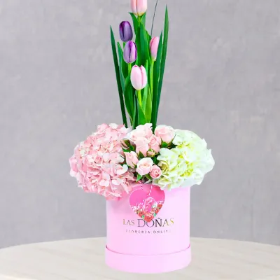 storage/images/productos/NUb5NYJ5Qr_13_13_11zon.webp