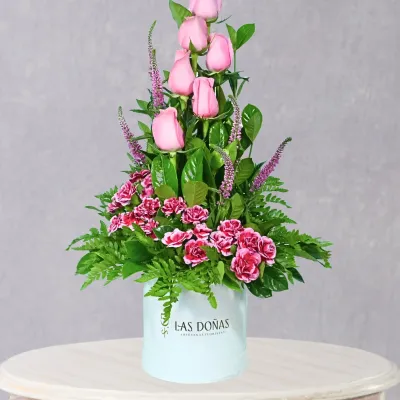 storage/images/productos/VNkd5vSKgg_67_7_11zon.webp