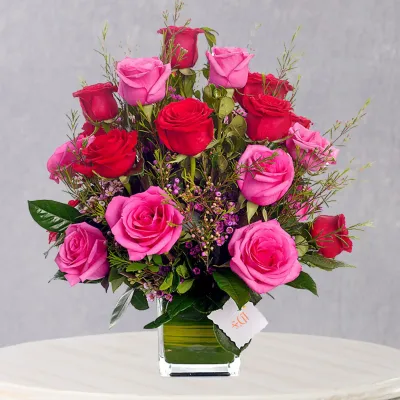 storage/images/productos/qJnovU0cNT_15_15_11zon.webp